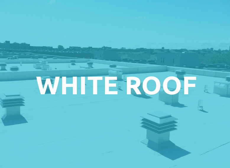 Roof projects